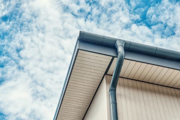 Gutter Fascia Repair in Wilson