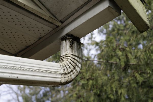 Roof Drain Replacement in Wilson