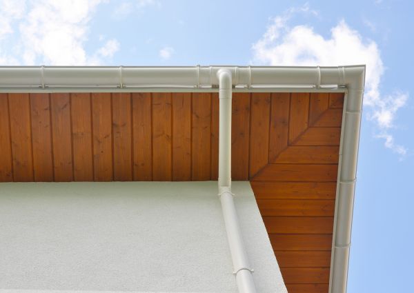 Downspout Diverter Service in Wilson