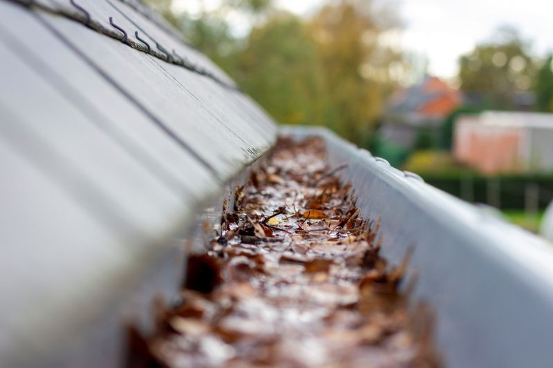 Debris in Gutters